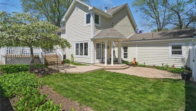 back yard
